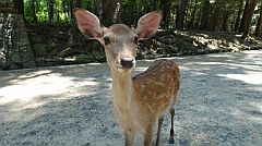 2023-06 Japan (Osaka 4)